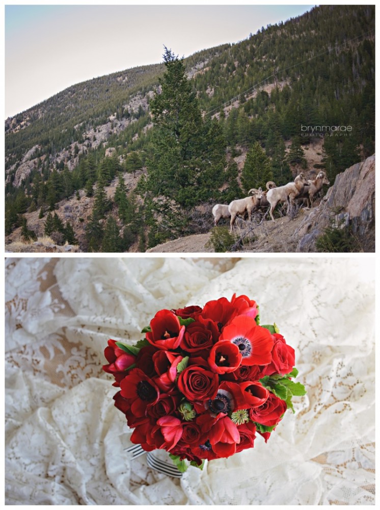 bridal-shoot-rocky-mountain-wedding-photography-433-Edit