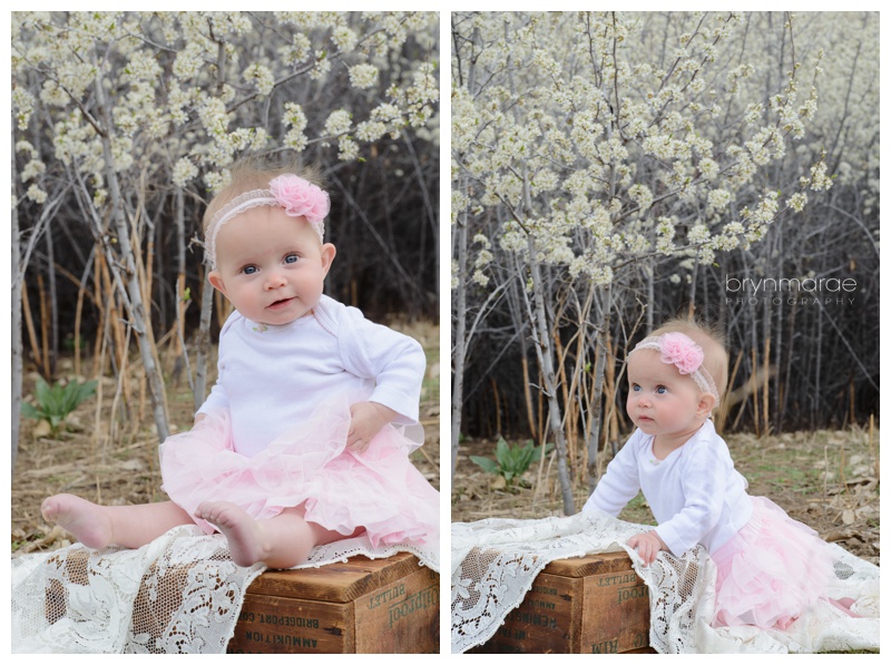 nora-6mth-littleton-childrens-photography-454-Edit